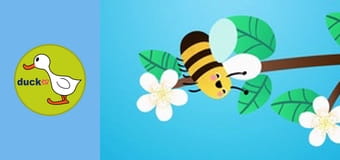 Happy Garden - Apple and Pear