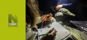 Віч-на-віч S1E1 - Акули