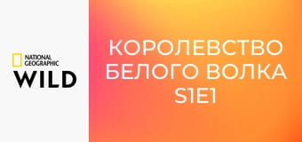 Королевство белого волка S1E1 - Поиск