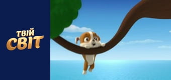 Щенячий патруль Season 1 Episode 12