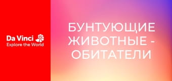 Бунтующие животные - Обитатели сыра