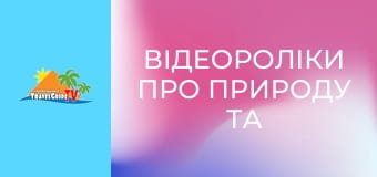 Відеороліки про природу та тварин. Відеороліки про природу та тварин.