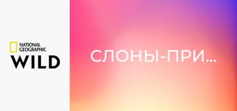 Слоны-призраки