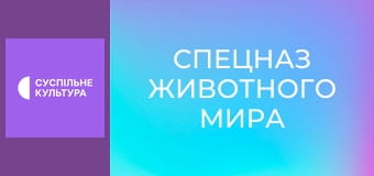 Д/с "Спецназ животного мира". "Особое снаряжение".