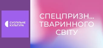 Д/с "Спецпризначенці тваринного світу". "Особливе спорядження".