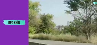 Кафе "Пінгвін" на Куренівці. Історія створення та сьогодення. Культові місця Києва #1.