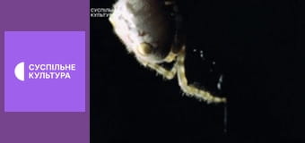 Д/с "Суперздібності тварин". "Нюх і смак".