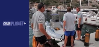 Под открытым небом - Национальные парки. - cерия 2 Под открытым небом - Национальные парки. - cерия 2