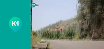 "Орел і Решка. Дайджест".