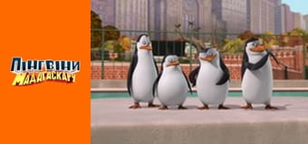 Сезон 1 - Серия 23