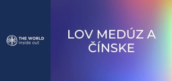 Lov medúz a čínske recepty na ich prípravu. Čína. Lov medúz a čínske recepty na ich prípravu. Čína.
