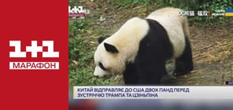 "Единые новости". Телемарафон.