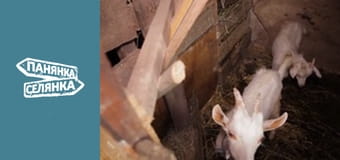 City Girl, Country Girl, Season 5, Episode 2