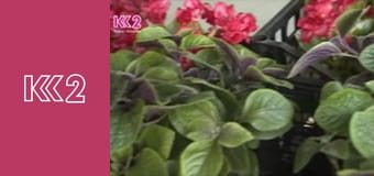 Квадратний метр E21