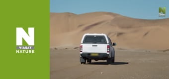 Эволюция - Движение