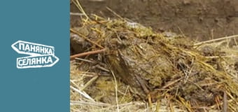 City Girl, Country Girl, Season 6, Episode 16