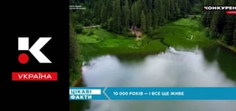 Интересные факты.