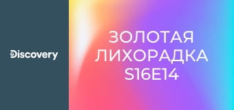 Золотая лихорадка S16E14