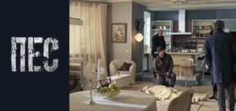 Dog, Season 5, Episode 14 Dog, Season 5, Episode 14