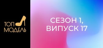 Сезон 1, Випуск 17