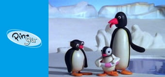 Pingu Sezon 6 Odcinek 23 Pingu Sezon 6 Odcinek 23