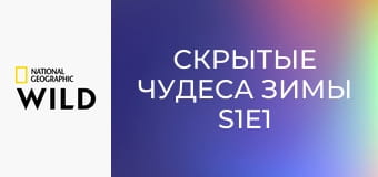 Скрытые чудеса зимы S1E1 - Морозные рубежи Америки