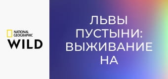 Львы пустыни: Выживание на Скелетном побережье
