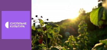 Гімн України.