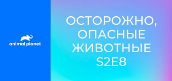Осторожно, опасные животные S2E8 - Утащенный под воду