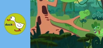 Color Clara - Animals of the Forest