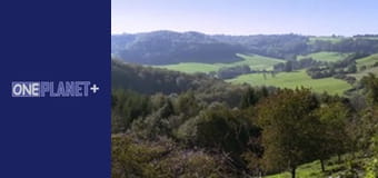 Искусство Пространства. - cерия 3 Искусство Пространства. - cерия 3