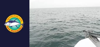 Malihini, part 1 Malihini, part 1