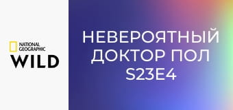 Невероятный доктор Пол S23E4