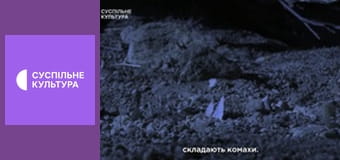 Д/с "Світ дикої природи. Дикі тварини". "Пустелі".