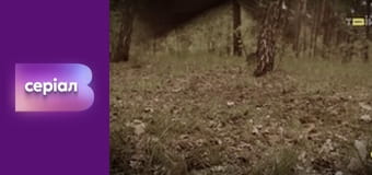 Т/с "Хід прокурора", 29 с.