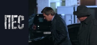 Dog, Season 5, Episode 13 Dog, Season 5, Episode 13