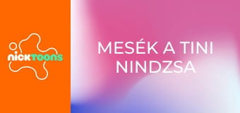 Mesék a tini nindzsa teknőcökről S1E8 - Mikey kezébe veszi az irányítást Mesék a tini nindzsa teknőcökről S1E8 - Mikey kezébe veszi az irányítást