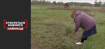 Полум'я ворожнечі