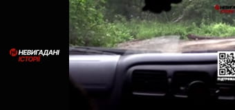 Невигадані історії.