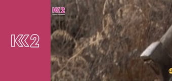 Стосується кожного S8E209 - Битва за талант