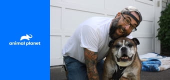 Дома для животных S1E2 - Полна горница зверей