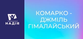 КоМарко - Джміль гімалайський