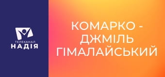 КоМарко - Джміль гімалайський