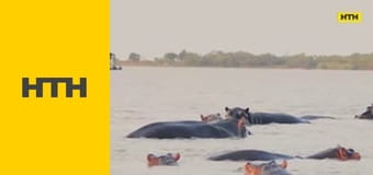 Т/с "Елементарно", 1 сезон, 9 і 10 с.