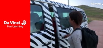 Сияя - Отправьтесь с нами - Цветущая пустыня