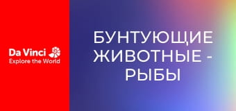 Бунтующие животные - Рыбы в илистых норах