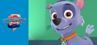 Щенячий патруль. Сезон 3 – серія 6