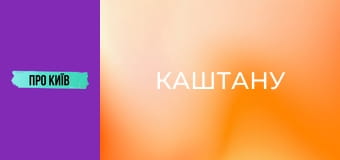 Рейтарська: київська молодіжна перлина. Чому стала популярною? Інтерв'ю зі співвласником "Каштану".