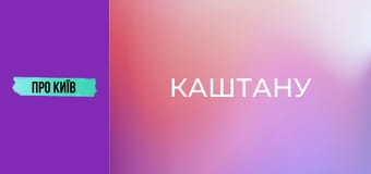 Рейтарська: київська молодіжна перлина. Чому стала популярною? Інтерв'ю зі співвласником "Каштану".