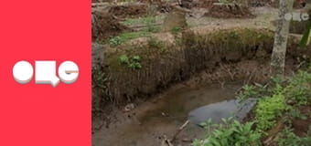 Особливості національної роботи, 1 сезон, 5 еп.